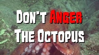 Octogeddon Teaser Trailer  Dont Anger The Octopus [upl. by Ivory]