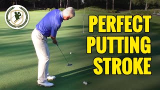 GOLF PUTTING TIPS  THE PERFECT GOLF PUTTING STROKE TECHNIQUE [upl. by Akihc]