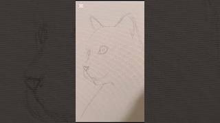 Bozza del soggetto cat drawing petportrait catportrait pittura pitturaolio painting [upl. by Jem]