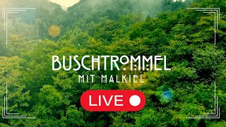 BUSCHTROMMEL live mit Malkiel [upl. by Perlman]