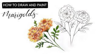 Watercolour Marigolds  How To Draw And Paint OCTOBERS Birth Month Flower [upl. by Kcor]