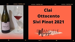 Degustazione Clai Ottocento Sivi Pinot 2021 [upl. by Glanti]