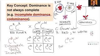 181 Ch12 Incomplete Co Multiple and Epistasis [upl. by Hsizan]