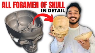 all foramen of skull anatomy  skull foramen anatomy  skull foramina anatomy [upl. by Ailedroc]