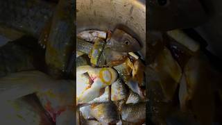 Fish fry Nepali style food fish curry [upl. by Pearle]