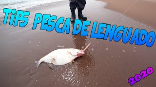 10 TIPS PARA PESCA DE LENGUADO 2020 [upl. by Gwenn]