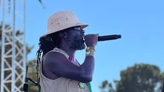 JUNIOR TOOTS 5446 amp Monkey Man live reggae show [upl. by Nylessej128]