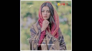 Dedhy Bety Han Shafaullah Rokhri Zeeshan Rokhri New Song Slowed And Reverb Sariki songs [upl. by Nylyoj996]