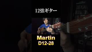 SUNADAギター試奏 Martin D1228 [upl. by Owens]