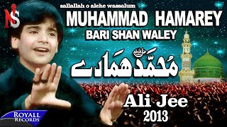 Ali Jee  Muhammad Hamarey  2013  محمد ہمارے [upl. by Balbur]