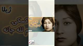 MERMON ZHILA  ميرمن ژيلا  Kamkai Bismillah Jana  کمکئ بسم الله جانه [upl. by Nanon]