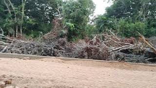 Terreno da ExEscola da Floresta Alter do Chão [upl. by Enialem]