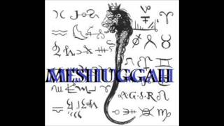 Meshuggah  Demiurge Slowed 1271 Dropped 25 Semitones [upl. by Garlaand464]