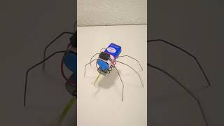 Robotic Spider [upl. by Elimaj]