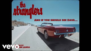 The Stranglers  And If You Should See Dave Official Video [upl. by Parsons]