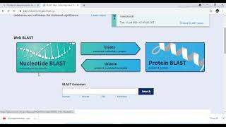 How to do BLAST Alignment Phylogenetic tree [upl. by Catie73]