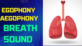 Egophony  Aegophony Breath sound  egophony lung sound [upl. by Cristen]