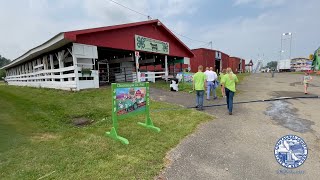 Chautauqua County Fair 4H Tour [upl. by Hobie]