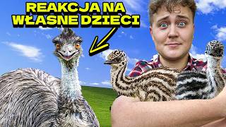 PIERWSZE SPOTKANIE EMU Z DZIEĆMI🐣były w szoku [upl. by Ahsenrac306]