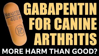 GABAPENTIN FOR CANINE ARTHRITIS  MORE HARM THAN GOOD [upl. by Naicad276]