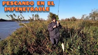 pesca en un lugar rústico ni las heladas nos paran 💪 [upl. by Asset575]