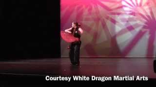 Fei Lung Sin  Flying Dragon Fan  Choy Li Fut [upl. by Corliss401]