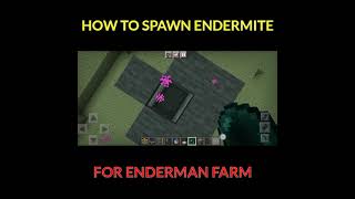 HOW TO SPAWN ENDERMITE FOR ENDERMAN FARM MINECRAFT [upl. by Oleic709]