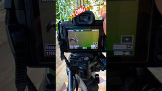 Canon m 50 mark ii photography review 👍canonm50 shortsfeed canoncamera [upl. by Sivert]