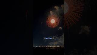 Happy Diwali 🪔 ytshorts trending diwali fireworks whatsappstatus [upl. by Adiazteb]