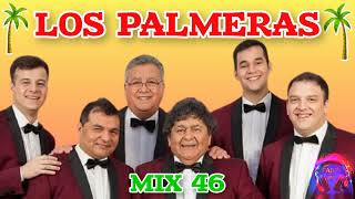 los palmeras megamix de exitos [upl. by Alfonse988]