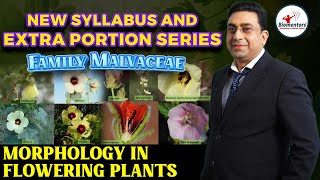 New syllabus and Extra portion Series I Family Malvaceae I Morphology in flowering plants [upl. by Boigie]