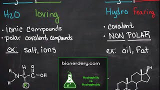 Hydrophilic vs Hydrophobic [upl. by Akel]