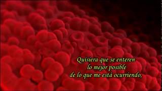 Carta de un hijo por nacer letra y voz a papá y mamá [upl. by Crowley549]