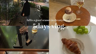 【5days vlog】神泉ビストロ🍷パークシネマを見に行く代々木八幡ランチ アイスとワイン秋服のお買い物 [upl. by Bart]