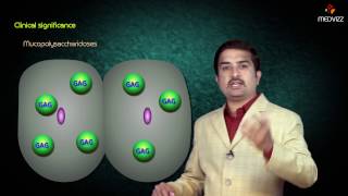 Metabolism of Amino sugars amp mucopolysaccharidosis [upl. by Helsie]