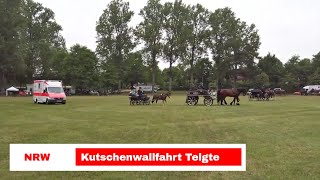 Pferd und Kutsche auf der Kutschenwallfahrt in Telgte [upl. by Annaet651]