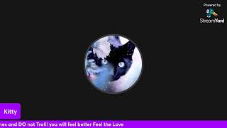 Kittys Chat [upl. by Osgood]