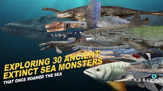 Exploring 30 Ancient Extinct Sea Monsters That Once Roamed the Sea [upl. by Meluhs708]