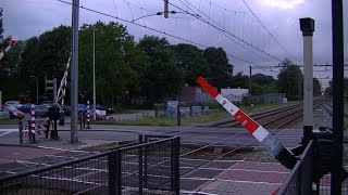 Spoorwegovergang DriebergenZeist  Dutch railroad crossing [upl. by Ayat]