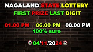 First Prize Last Digit 041124 Nagaland State Lottery Target Number Lottery Sambad Target Number [upl. by Assenej400]