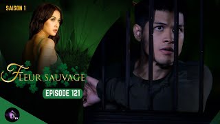 FLEUR SAUVAGE Épisode 121 en français  HD [upl. by Alyled555]