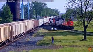 Over 40 Trains at the Deshler OH Memorial Day Weekend Outing [upl. by Hamlet240]