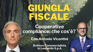 Cooperative compliance che cos’è  Giungla Fiscale  Ep 2 con A Vicentini [upl. by Halil611]