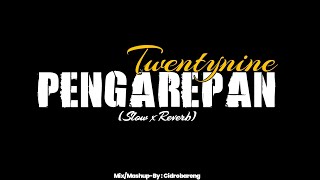 Pangarepan  Twentynine  Mix x Slow x Reverb Mashup CIDRO BARENG🎧 [upl. by Suryt]