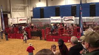 Cowboys Roping 😡 Bull [upl. by Ecenahs695]