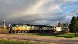 VIA 15 thru Memramcook NB  Nov 2023 [upl. by Esyak]