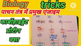 carbohydrates milk oil । कार्बोहाइड्रेट दूध और तेल का पाचन enzyme। biology tricky science [upl. by Valery372]