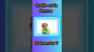 Quelle est la femme du hamster [upl. by Segal]