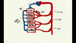 Portal Circulation [upl. by Leffert]