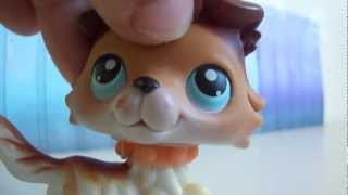 Littlest Pet Shop Lifetime Episode 10 quotForgiveness Is Keyquot REMAKE [upl. by Nyved]